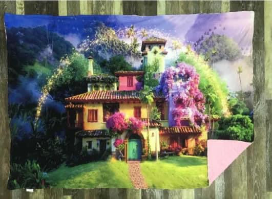 Preorder Encanto House minky blanket